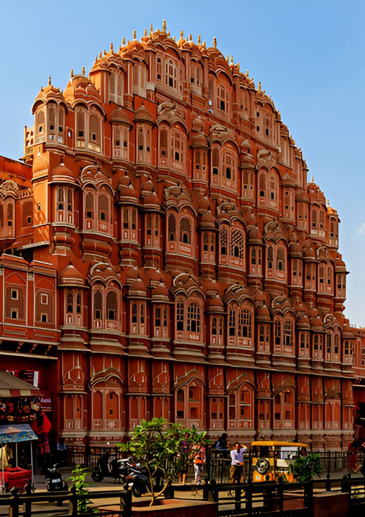 Customized Travel Packages & Local Tours