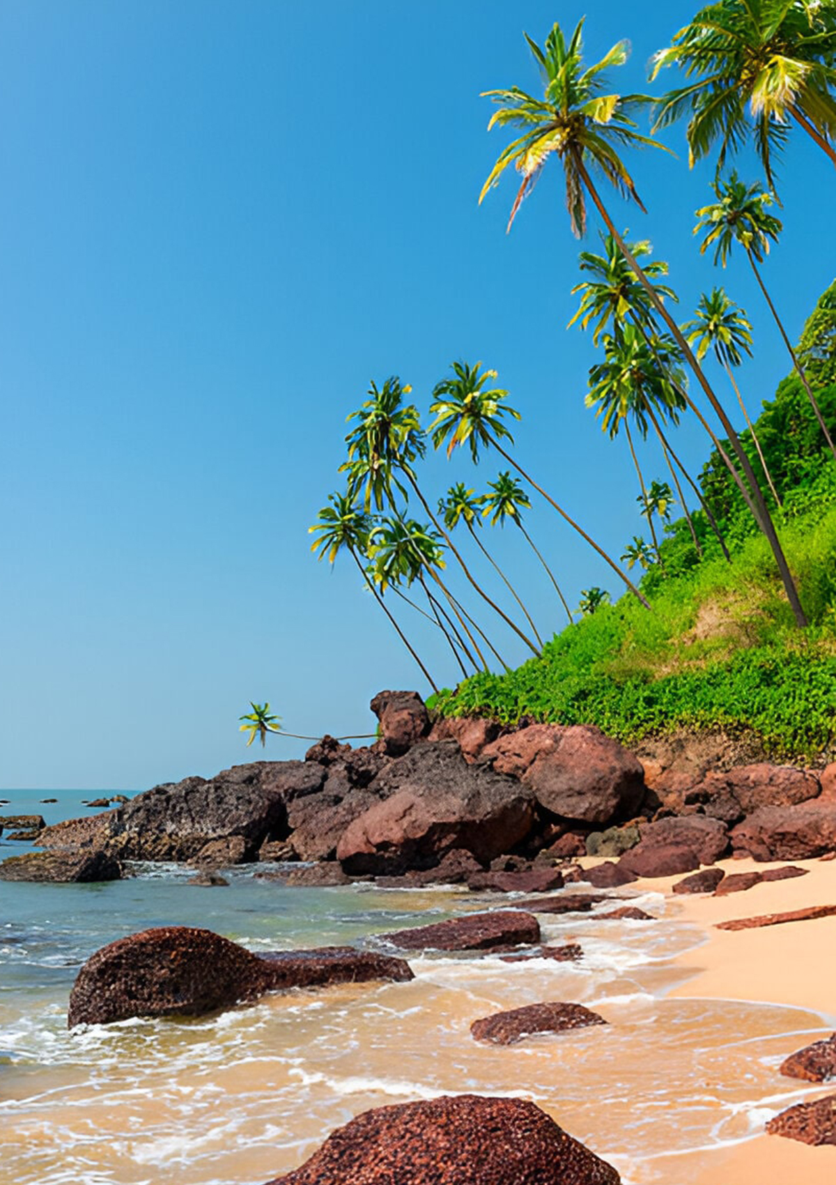 Best Travel Agency in India