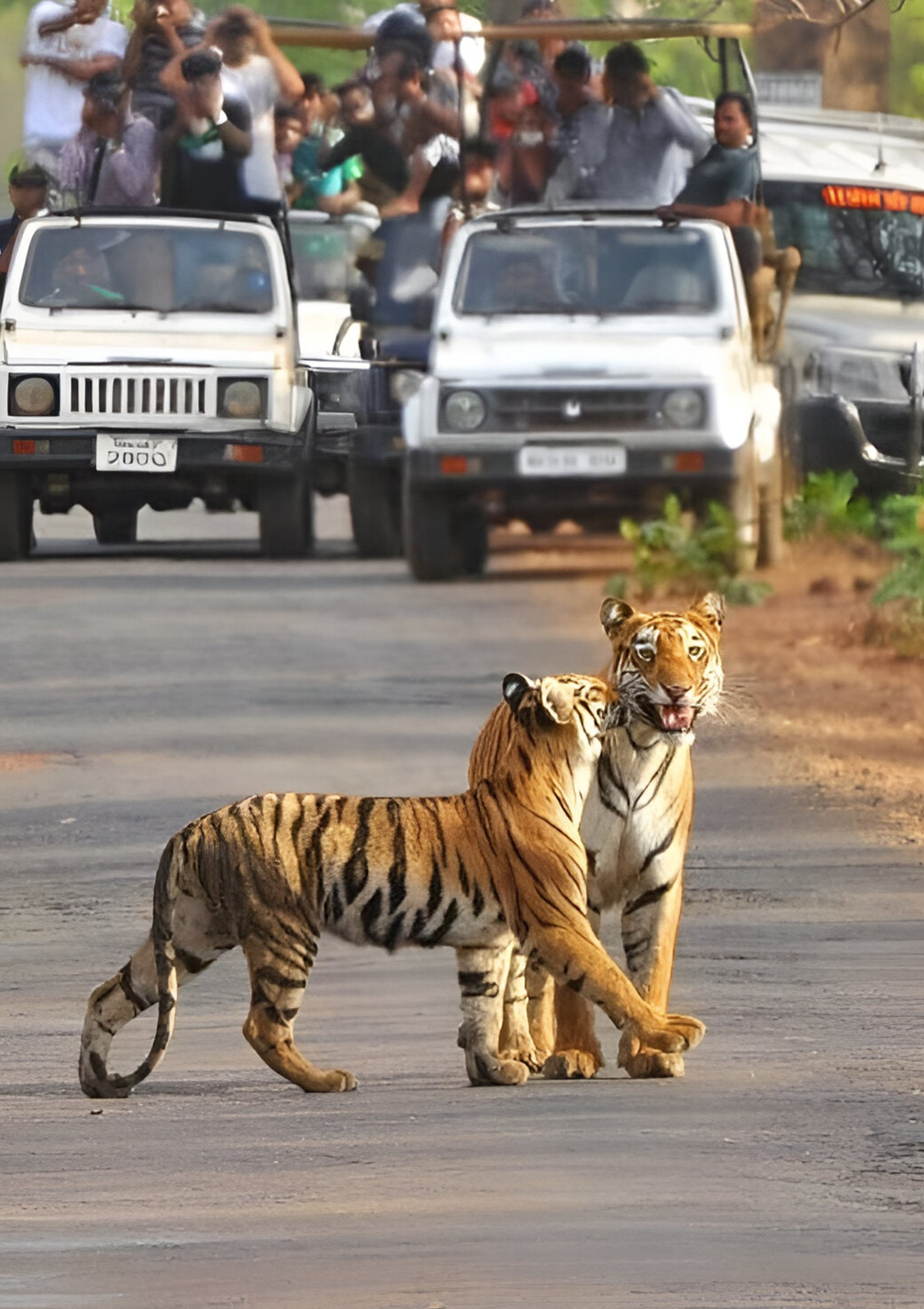 Book Now with Expert Travel Planners