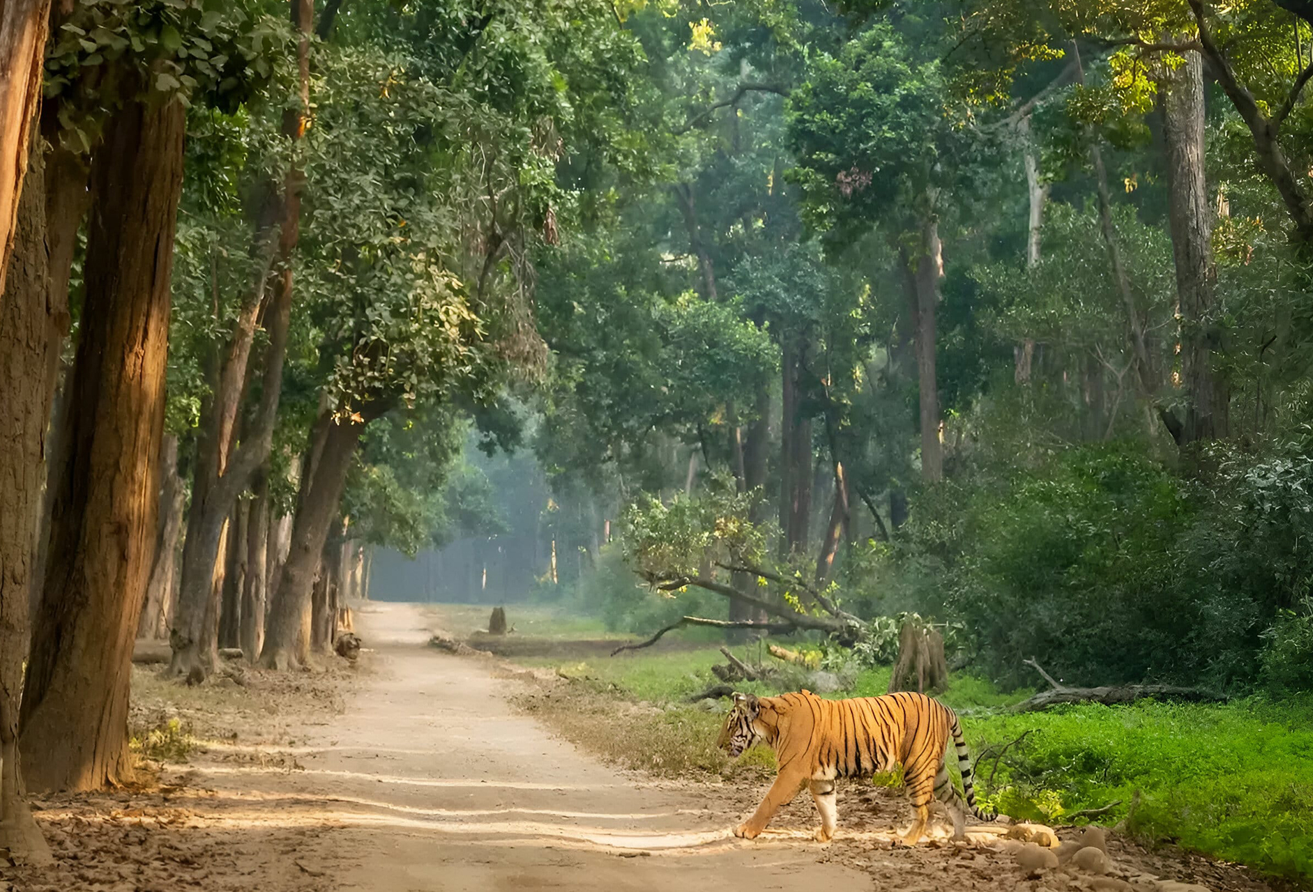 Affordable India Holidays